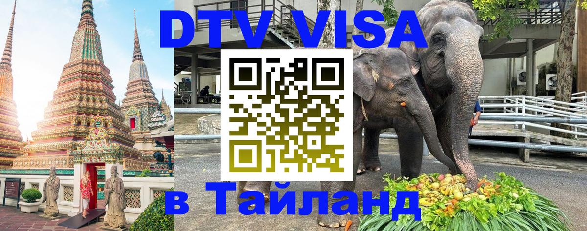 Сколько стоит DTV виза — актуальные цены, оформление даже без документов - Дзержинск 